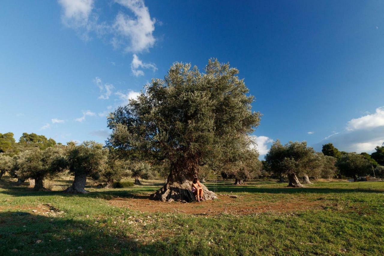 Nerotriviá Kouvelia Country Home Luxury Villa Rental מראה חיצוני תמונה